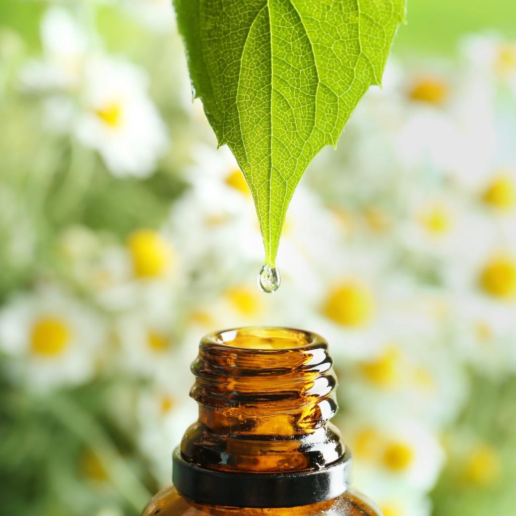 Aromathérapie, Pharmacie du Becquet, Louviers